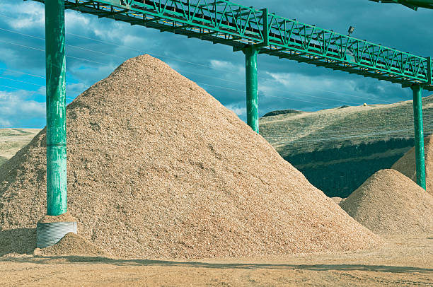 istock Wood chips piled below conveyor belt at lumber mill 499739861