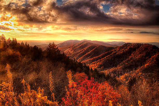 istock Autumn Hillsides in the Smokies 499741593