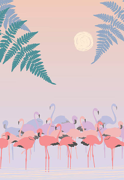 Pink Flamingos at Dawn vector art illustration