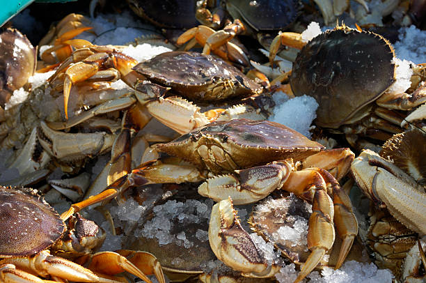 istock Close-up of Live Crabs in Shipping Container 499741979