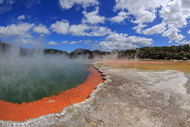 istock Rotorua, New Zealand 499743378