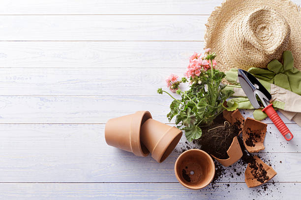 istock Gardening: Broken Plant Pot and Gardening Equipment 499744838