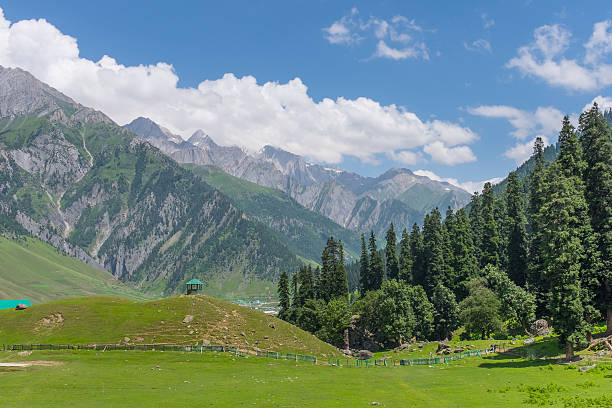 istock Small shelter at Sonamarg 499745826