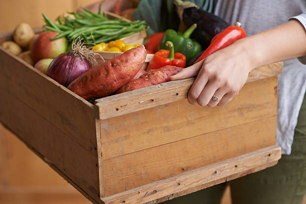 istock Pick of the crop 499746064