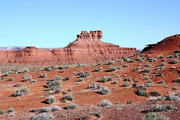 istock Red rock formations in the desert, Utah USA 499746872