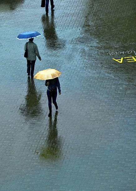 istock With umbrellas walks in the rain on the pavement 499747164