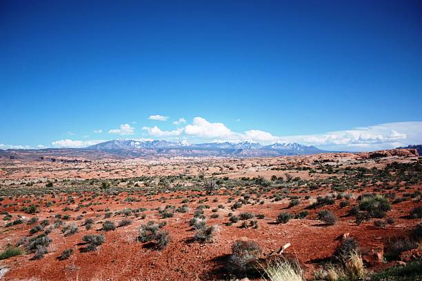 istock Petrified Dunes Viewpoint, Arches National Park, Utah 499748392