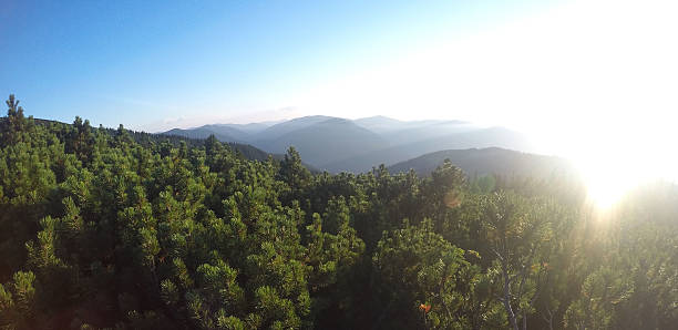 istock Mountain peaks with mountain pine overgrown 499749202