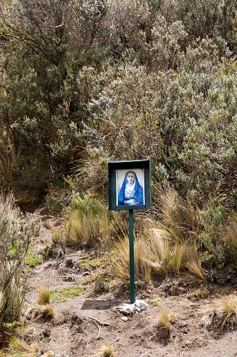 A votive picture of a madonna in the middle of the wilderness. It is located in the 