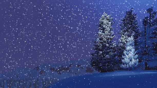 istock Snowy firs on mountain top at snowfall night 499752282