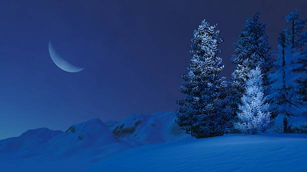 Photo of Snowy firs on mountain top at moonlight night