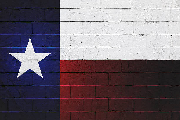 istock The Lone Star Flag painted on a wall 499753054