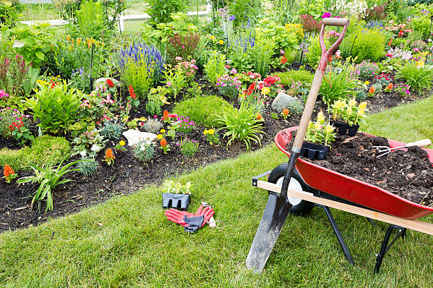 istock Gardening equipment ready for use 499755039