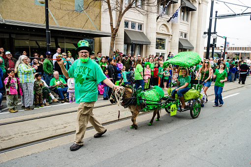Little Rock, Arkansas, USA - March 15, 2014: A man dressed in green guides his miniture horse which is pulling a small cart. They are participating in a St. Patricks day parade. Spectaters line the street as they watch.