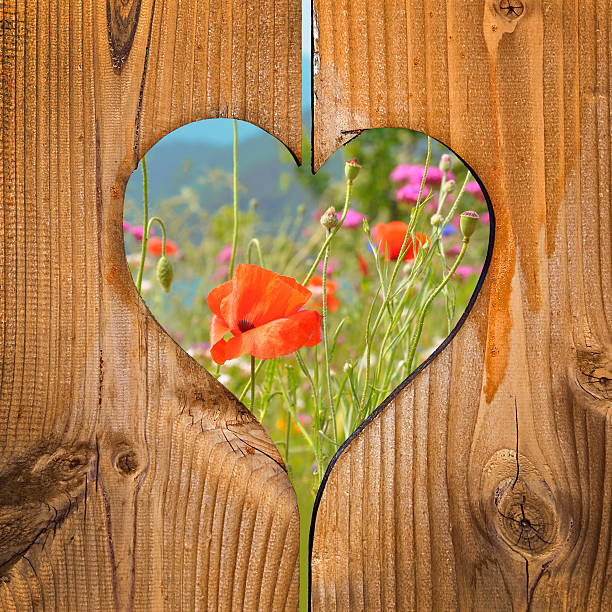 Poppy field, wooden heart frame