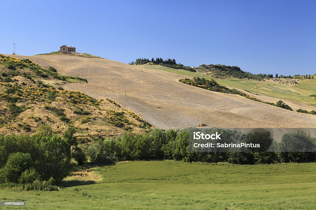Toskana Landschaft des Val d'Orcia, Italien. - Lizenzfrei Agrarbetrieb Stock-Foto
