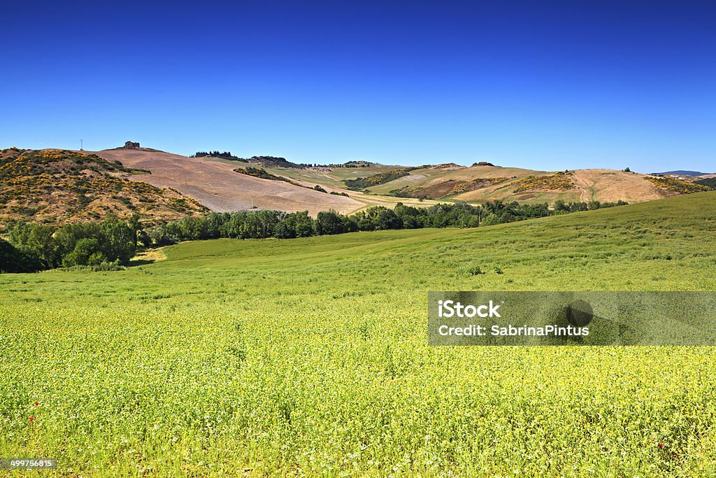 Toscana Paisagem de Val d'Orcia, Italy. - Royalty-free Agricultura Foto de stock