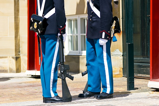 Changing of guards, Amalienborg palace, Denmark