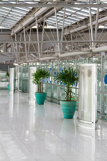 istock Plant in a flower pot indoor. 499767824