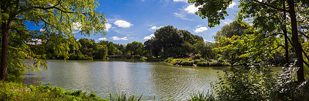 istock Panoramic view over the lake in Central Park 499769394