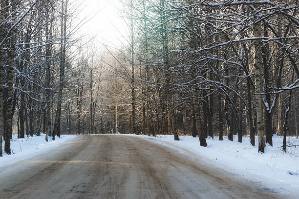 istock winter road through the woods 499769754