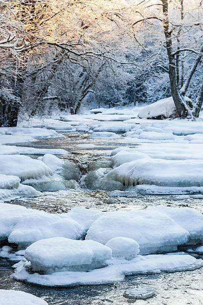 istock River in a frozen winter landscapes 499770876