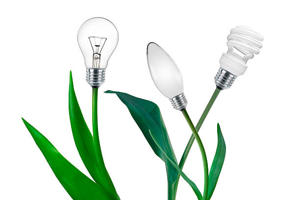 energía alternativa - light bulb led evolution development fotografías e imágenes de stock