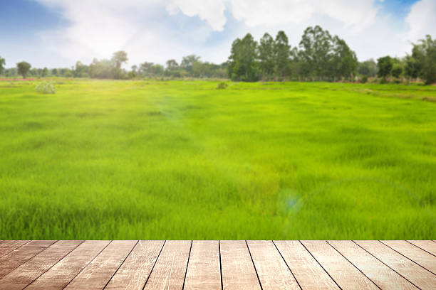 istock Wooden table with environmental on grassland field. 499772386