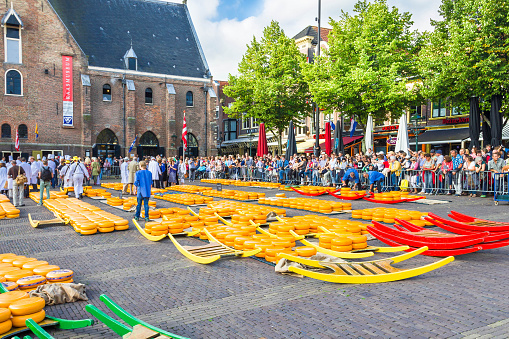 Alkmaar, The Netherlands - September 7 2012: Carriers walking with cheese at a famous Dutch cheese market. 