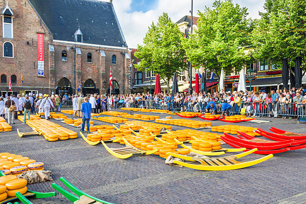 The famous Alkmaar Cheese Market in Netherlands Alkmaar, The Netherlands - September 7 2012: Carriers walking with cheese at a famous Dutch cheese market.  cheese market stock pictures, royalty-free photos & images