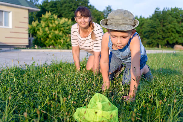 istock Little boy catching insects with his mother 499774470