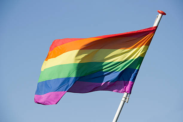 istock Rainbow Flag on Coming Out Day 499776120