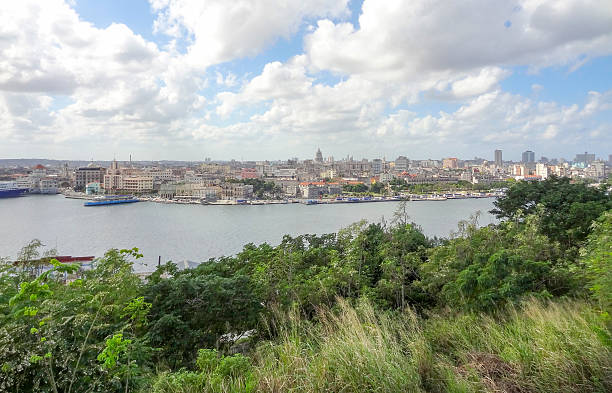 istock Havana in Cuba 499776702