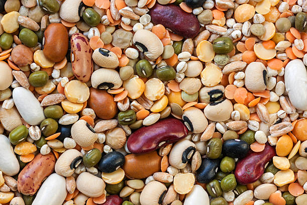 콩류 - soybean fava bean broad bean bean 뉴스 사진 이미지
