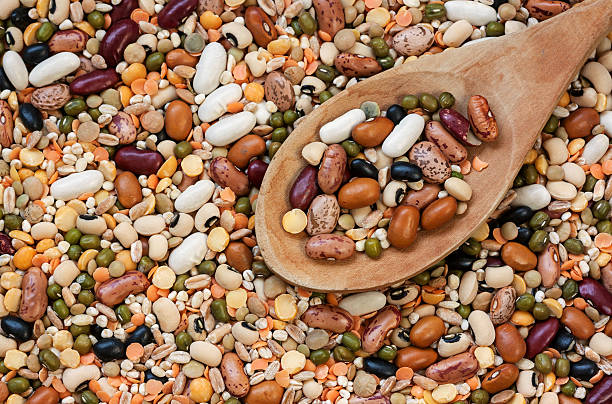 de leguminosas - fava bean bean seed imagens e fotografias de stock