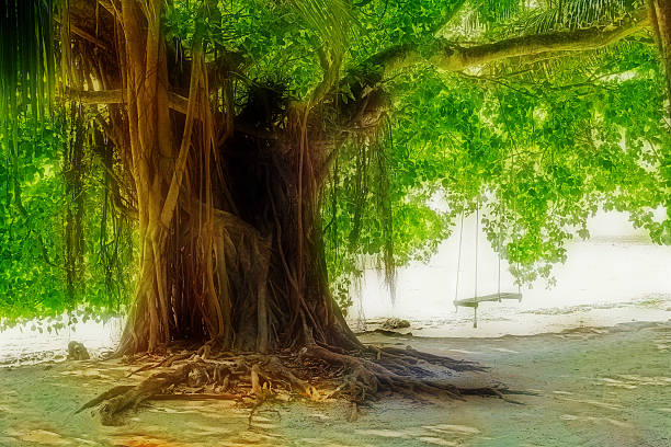 Dayen Tree 40+ Dungen Stock Photos, Pictures & Royalty-Free Images - iStock