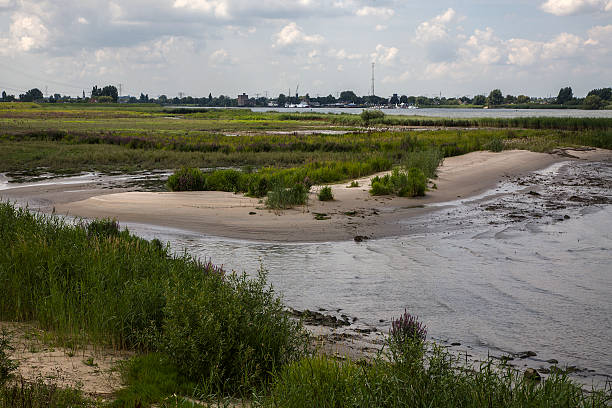 Restored nature along Dutch river Lek Nieuw-Lekkerland, South Holland, Netherlands lek river in the netherlands stock pictures, royalty-free photos & images