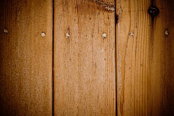 istock grunge wood panels natural texture 499779210