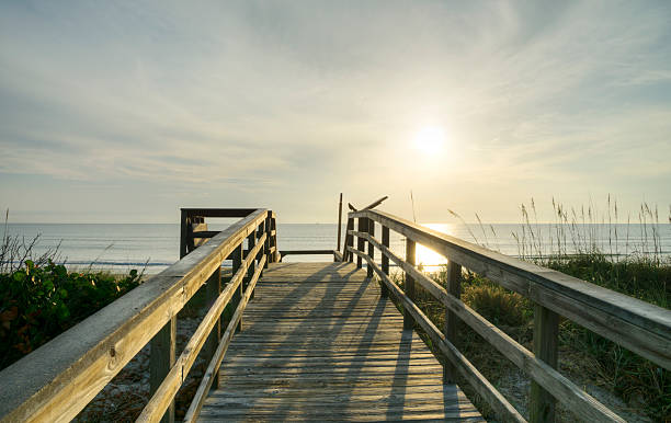 istock Sunrise at Cape Canaveral National Seashore 499779219
