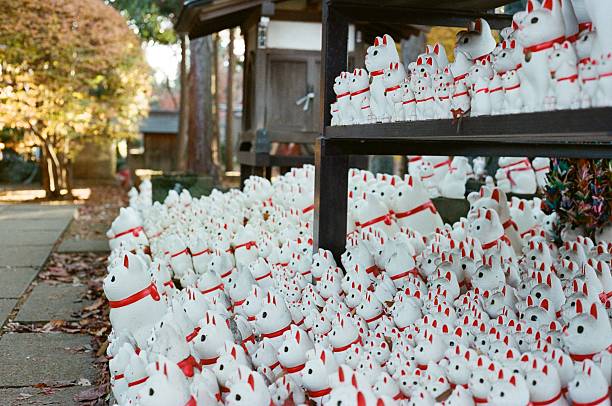 Rows beckoning cats in Japan