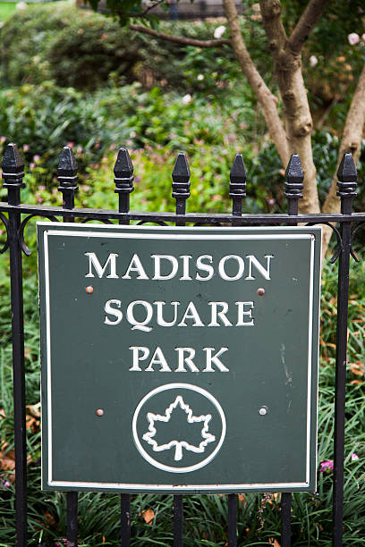 istock Madison Square Park in New York City 499780174