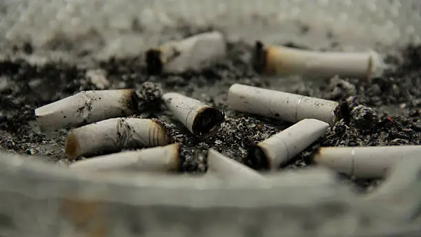 Photo of Cigarette Butts Gross