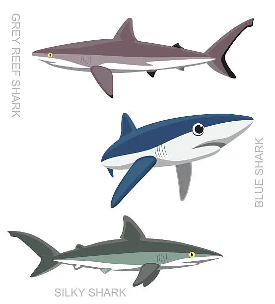 Vector illustration of Blue Shark Set Cartoon Vector Illustration