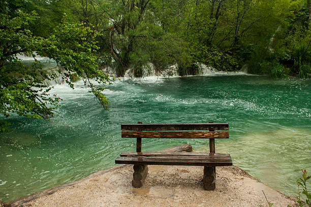 istock Alone bench on the edge of a lake. 499781460