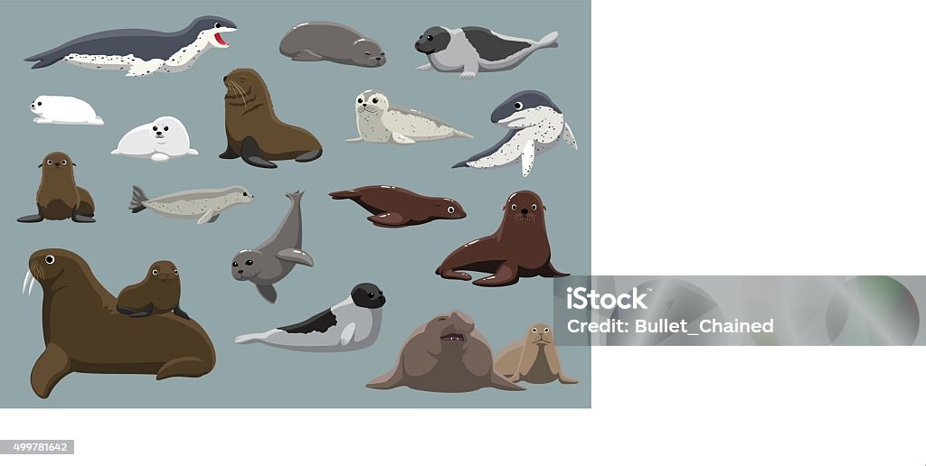 Various Seals Set Cartoon Vector Illustration Animal Cartoon EPS10 File Format Seal - Animal stock vector
