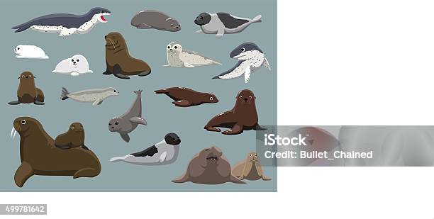 Various Seals Set Cartoon Vector Illustration Stock Illustration - Download Image Now - Seal - Animal, Animal, Sea Lion