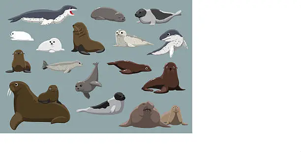 Vector illustration of Various Seals Set Cartoon Vector Illustration
