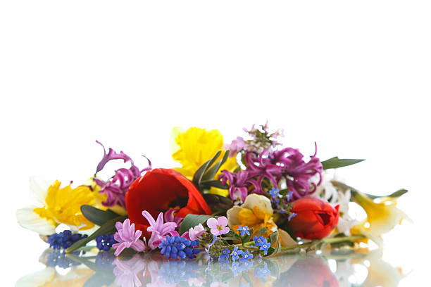 istock beautiful bouquet of spring flowers 499782628
