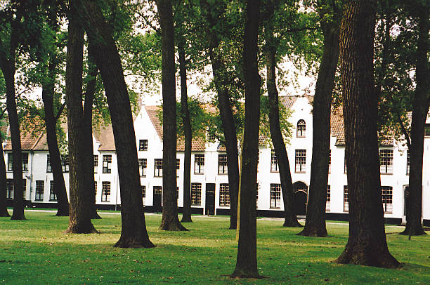 istock Beguinage of Bruges, Belgium 499782645