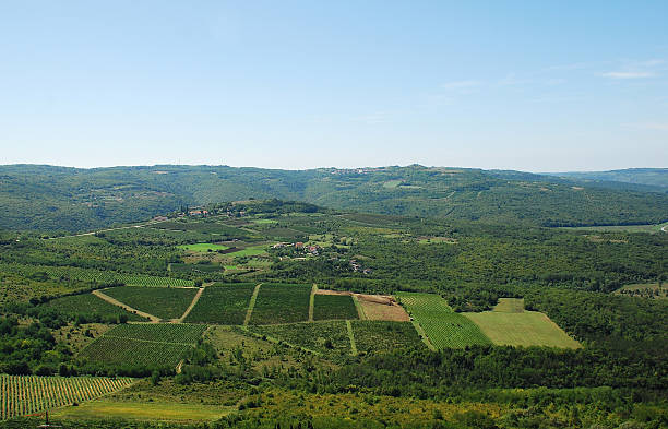 istock Landscape Near Motovun 499782794